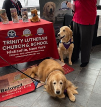 2025 FOW comfort dogs