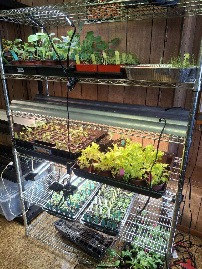 2026 plants