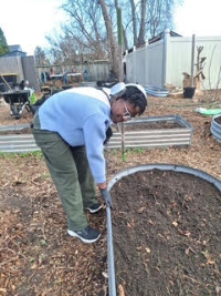 Young Yvonne garden